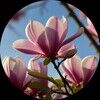 just4youfinds